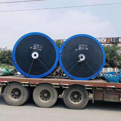 Adjustable Speed Custom Stainless Steel and Rubber Conveyor Belts New for Mining Manufacturing Plants and Farms