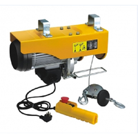 Vente directe d'usine Mini palan électrique bleu/rouge/orange/toute couleur Pa200--Pa1000 pour levage de construction