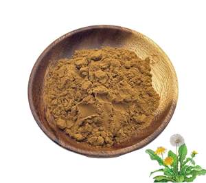 Оптовая продажа, экстракт корневых листьев 10:1 одуванчика <span class=keywords><strong>Taraxacum</strong></span> Mongolicum, порошок, экстракт одуванчика - Product Image 1