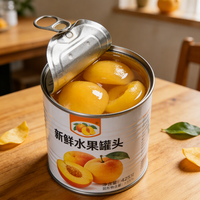 Boîte de conserve en acier pour aliments, conteneur métallique vide pour fruits