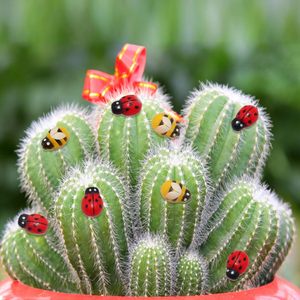 Mini 100 Uds autoadhesivo 9x13mm parte posterior plana <span class=keywords><strong>madera</strong></span> abejas mariquitas pegatinas para DIY micropaisaje Scrapbooking tarjeta cartel <span class=keywords><strong>de</strong></span> pared <span class=keywords><strong>madera</strong></span> - Product Image 5