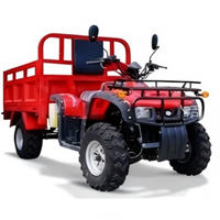 Quad 300CC 4x4 tout-terrain pour adultes, véhicule agricole, buggy des dunes, modèle de moto tout-terrain