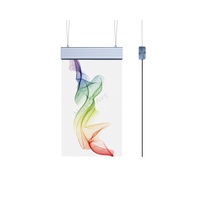Pantalla LED Transparente P6 de Alta Luminosidad para Interiores/Exteriores, Tamaño Personalizable, 5000cd, Color RGB, Pantalla Holográfica para Publicidad en Centros Comerciales