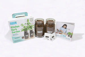Jardin d'herbes aromatiques en pot Mason pour cuisine par Ayesha Curry - <span class=keywords><strong>Basilic</strong></span> et menthe biologiques pour usage intérieur - Product Image 6