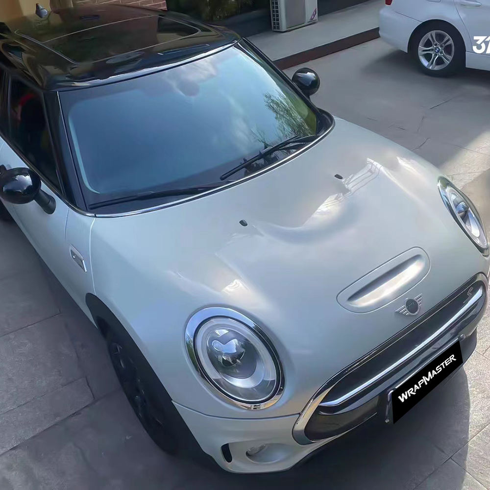 มาร์ตินสีเงินสีเทา