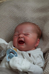 Il bambino che parla di Bibble preoccupa il neonato da 20 pollici realistico a buon mercato dopo le bambole rinate di Boneca morbide in silicone alto - Product Image 5