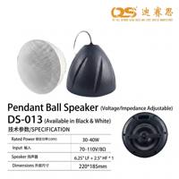 Haut-parleur suspendu Hi-Fi 40W pour système de sonorisation, installation réglable par suspension, pour diffusion publique