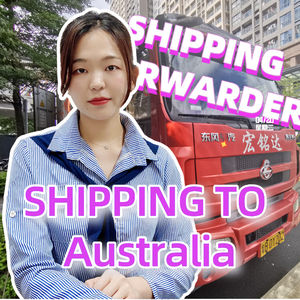 Transportista de carga SWWLS nuevo y de envío con precio competitivo DDU - Product Image 3