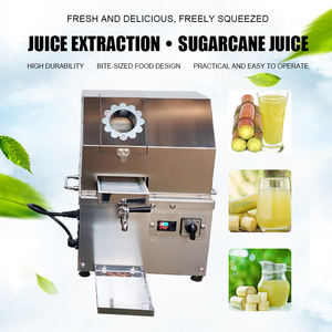 Extracteur de jus de canne à sucre électrique portable de taille compacte, machine à jus de canne pour camions de nourriture mobiles et services de restauration en plein air - Product Image 2