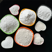 Poudre chimique d'hydroxyde de calcium de chaux éteinte de fournisseurs pour le mortier sec de construction