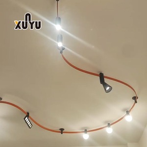 Smart Tuya <strong>Zigbee</strong> Wifi Rail Ceiling Surface Decorative Pendant <strong>Lamp</strong> Magnetic Track Light Ceiling Curve Line Light for Shop Home - Product Image 3