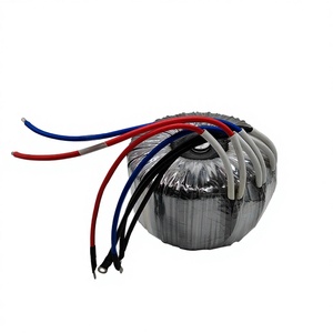 Transformateur toroïdal T50 T60 T180 à enroulement en cuivre, autotransformateur 115V 230V 60W 100W 1KW 50 60Hz, transformateur de puissance monophasé - Product Image 3