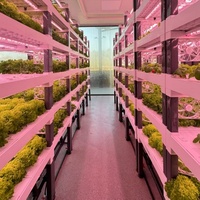 Système hydroponique multicouche pour une utilisation en intérieur-Convient aux fruits, légumes à feuilles et fleurs App Control