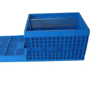 OEM冷/热流道广泛使用的塑料注射水果板条箱模具