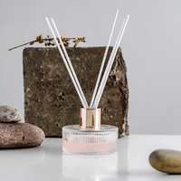 Bouteille de diffuseur de parfum vide de forme ronde de 100ml avec bouchons et bouchons