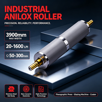 Rouleau Anilox Céramique pour Impression Flexographique avec un Nombre de Gravures de 20 à 1800 LPI, Diamètre de 40 à 600 mm pour le Transfert d'Encre en Impression Flexo