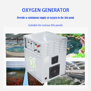 Générateur d'oxygène portable, petit générateur d'oxygène industriel adapté aux laboratoires et aux fermes piscicoles - Product Image 2