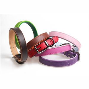 <span class=keywords><strong>Collar</strong></span> de Cuero Pu de <span class=keywords><strong>Color</strong></span> Puro con Hebilla de Hardware de Alta Calidad para Mascotas, Accesorios Modernos - Product Image 1