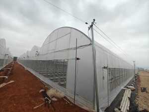 Invernadero conectado de película fina de alta eficiencia para una <span class=keywords><strong>agricultura</strong></span> <span class=keywords><strong>sostenible</strong></span> - Product Image 6