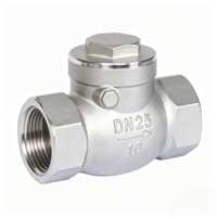 Vanne de contrôle d'eau à double disque en acier inoxydable, à fermeture lente, type Wafer, PN16, OEM 2-8 pouces