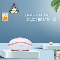 Diffuseur d'huiles essentielles compact Diffuseur d'huiles essentielles sans eau Batterie USB Diffuseur de maison de voiture
