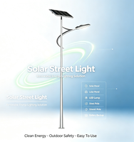 Lampe Intelligente Hybride Éolienne et Solaire Intégrée pour Route et Extérieur YD-TYN-14