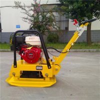 Compacteur à plaques vibrantes manuel de haute qualité