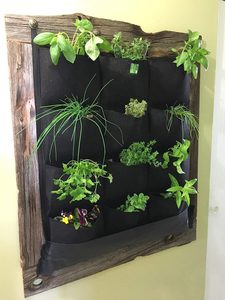 12-Bolsillo jardín <span class=keywords><strong>Vertical</strong></span> plantador de bolsillo de montaje <span class=keywords><strong>en</strong></span> <span class=keywords><strong>pared</strong></span> creciente bolsa - Product Image 6