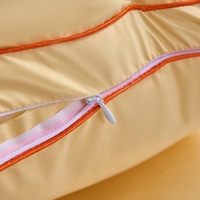 Oreiller de cou super doux, oreiller matelassé d'hiver INS, oreiller de lit pour la maison et l'hôtel, en fibre de polyester, 4 couleurs au choix, oreiller individuel