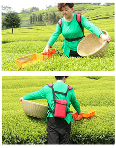 <span class=keywords><strong>Taille</strong></span>-haie électrique sans balais HDPE pour la cueillette du thé, portable, mini-tondeuse rechargeable - Product Image 6