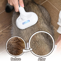 Peigne à vapeur d'eau autonettoyant pour animaux de compagnie à une touche d'épilation Brosse à vapeur pour chat blanc à long manche rechargeable