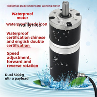 Motor DC Planetary Gear Y60-107 IP68 Tahan Air 24V 300W 45Nm Torsi Tinggi Beban 500kg Motor Submersible untuk ROV Kelautan