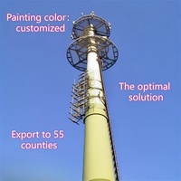 Torre de Telecomunicaciones Monopolar Galvanizada de 30m con Tecnología Profesional para Sitio de Red 5G Urbana