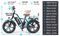Vélo électrique Ridstar à logo personnalisé Vélo électrique électrique 750W bon marché du fabricant Fatbike Vélo électrique de ville électrique pour adultes