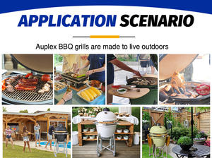 Hot AUPLEX Kamado Big <span class=keywords><strong>Joe</strong></span> Petites grilles de barbecue en céramique de 14 pouces - Product Image 5