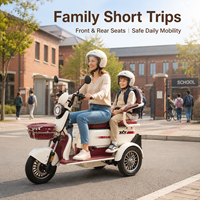 Tricycle Électrique Familial en Gros, Autonomie 70 km, Batterie Plomb-Acide 60V32AH, Moteur 1000W, Vélo Électrique Adulte, Scooter Tricycle à 3 Roues