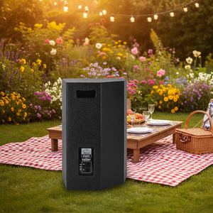 Meistverkaufter Indoor-Wandlautsprecher für NU12 Professionelle Bühne Konferenz Multifunktionaler Fullrange-Lautsprecher - Product Image 5