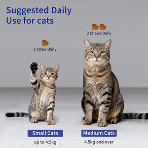 อาหารเสริมแอลไลซีนสำหรับแมวสำหรับจามน้ำมูกไหลเย็นภูมิคุ้มกันสนับสนุนการทำงานของตาและสุขภาพระบบทางเดินหายใจ - Product Image 3