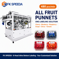 Dubbelzijdig sensorsysteem voor het etiketteren van industriële clamshell-verpakkingen met 6 rijen van 1100 mm brede trays voor verse fruit- en bessensorten.