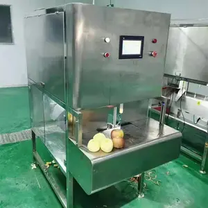 Applications commerciales électrique mangue ananas noyau de fruits pomme figue de barbarie kiwi avocat éplucheur machine à éplucher kaki