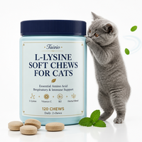 Complément alimentaire à la L-Lysine pour le soutien immunitaire des chats, santé respiratoire féline, comprimés à croquer à la lécithine, soins quotidiens, vente en gros
