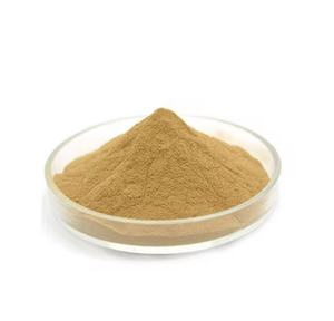 Chất lượng cao <span class=keywords><strong>astragalus</strong></span> chiết xuất 40% polysaccharides bột <span class=keywords><strong>astragalus</strong></span> chiết xuất bột - Product Image 3