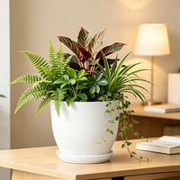 Ensemble de pots de fleurs en plastique durable avec trou de drainage, design minimaliste pour une utilisation intérieure/extérieure, décoration pour la maison, le jardin, le bureau, l'hôtel