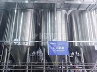 Équipement de brassage de bière 1000L, projet clé en main, système de brasserie en acier inoxydable pour brasserie artisanale commerciale