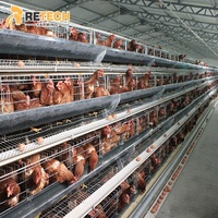 Système de cages en batterie pour poules pondeuses de type A96 en acier galvanisé à chaud pour l'élevage