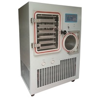 Pers Type Vacuüm Fruit Lyofilisatie Machine Aardbei Citroen Mango Durian Vriesdroger Machine