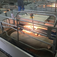 Cage de mise bas pour porcs européenne, enclos d'élevage avec mangeoire humide et sèche pour porcs et buse d'abreuvement pour porcs
