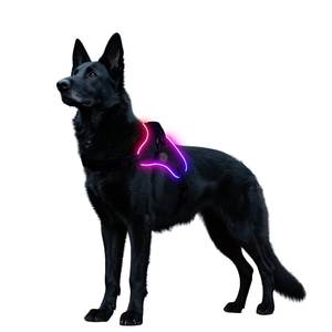 เสื้อกั๊กสายรัดสุนัข LED กันฝนปรับได้อุปกรณ์สัตว์เลี้ยงชาร์จไฟได้สำหรับสุนัขขนาดเล็กกลางทันสมัย - Product Image 4