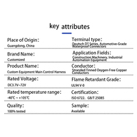 Harnais de câblage de commande principal OEM personnalisé certifié IATF16949, assemblage de câbles industriels multiconducteurs pour l'automatisation