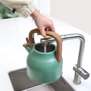 Оптовая продажа с завода: Чайник-свисток 3 л, из нержавеющей стали, с возможностью индивидуального выбора цвета, для всех типов плит - Product Image 4